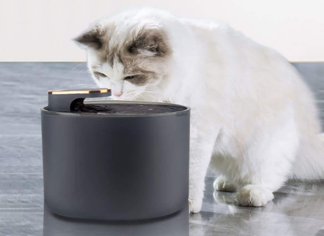 Pet Fountain Water Dispenser